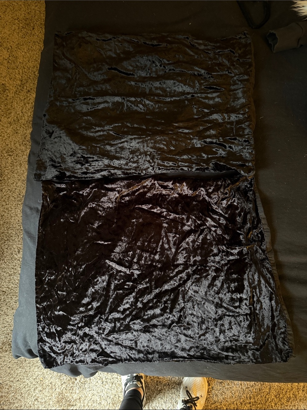 Two standard Sin in Linen black velvet shams
